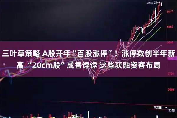 三叶草策略 A股开年“百股涨停”！涨停数创半年新高 “20cm股”成香饽饽 这些获融资客布局