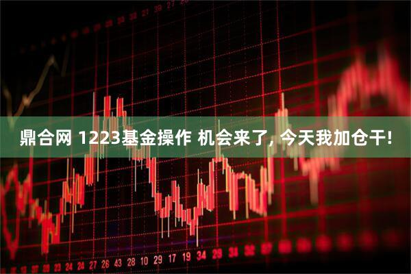 鼎合网 1223基金操作 机会来了, 今天我加仓干!