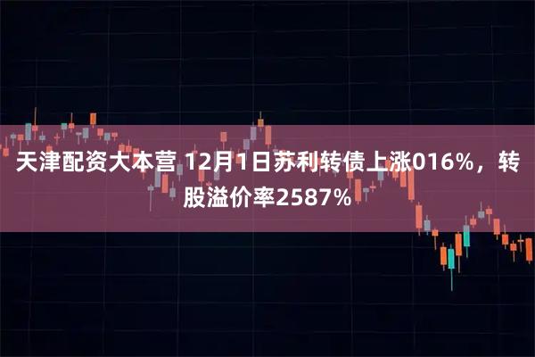 天津配资大本营 12月1日苏利转债上涨016%，转股溢价率2587%