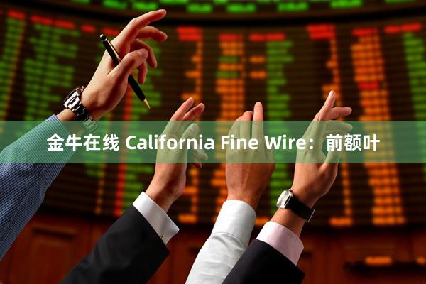 金牛在线 California Fine Wire：前额叶